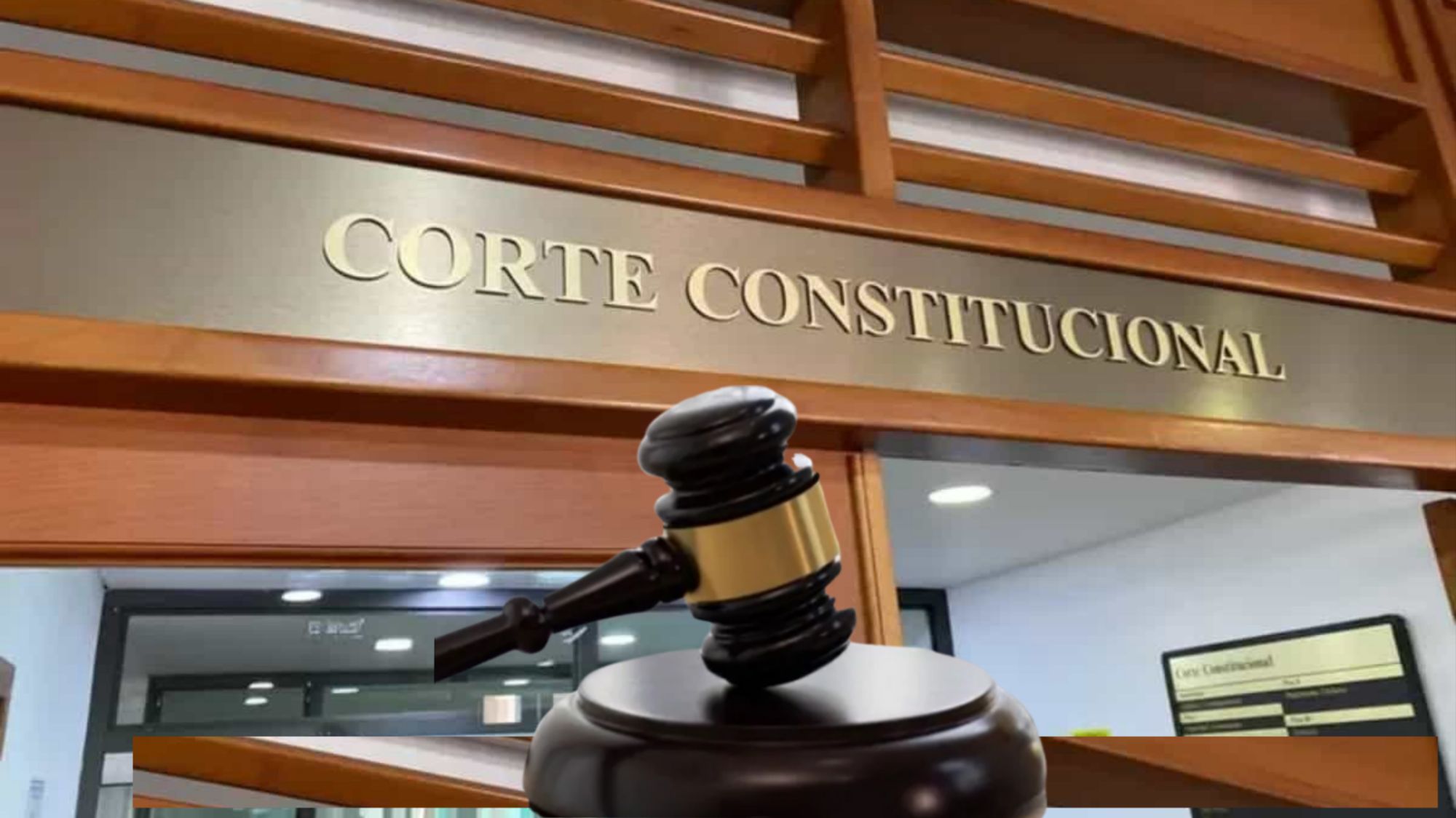 Corte Constitucional